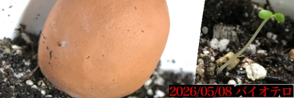 20260508234922.jpg