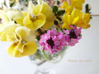 20140326-113348.jpg