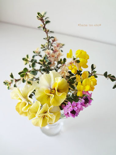 20140430-173941.jpg