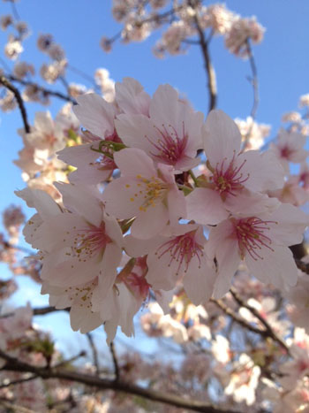 20140430-174525.jpg