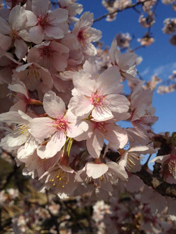 20140430-174543.jpg