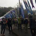 箱根鯉のぼりプロジェクト3