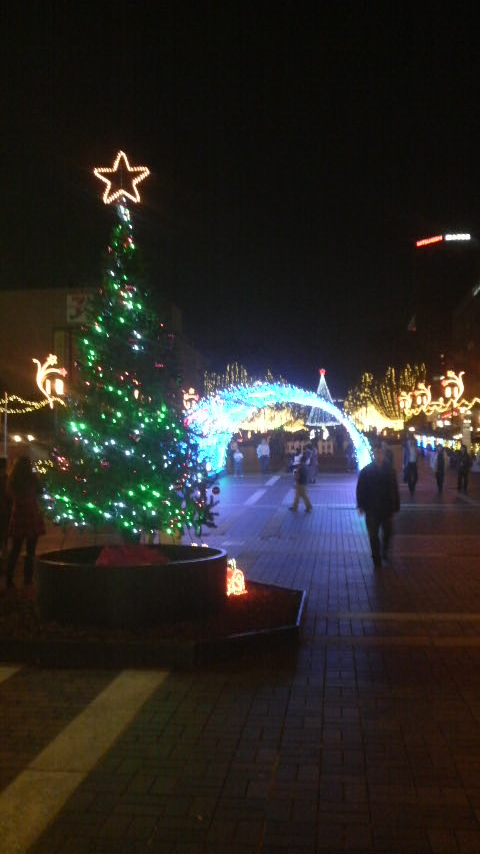 今年もそんな季節