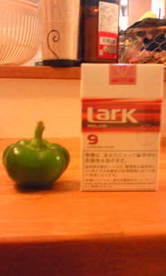 ピーマン…か?
