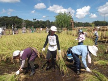 田んぼの学校②