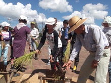 田んぼの学校③