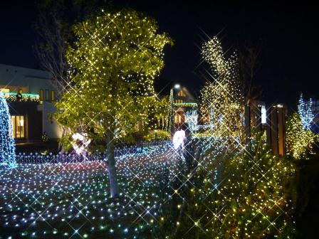 イルミネーション③