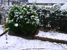 雪⑦