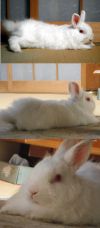 おうじ01
