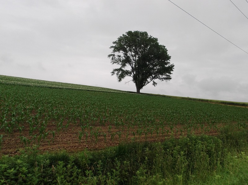 DSCF0166.jpg
