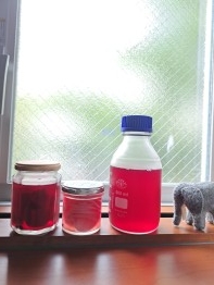 20250703_155727.jpg
