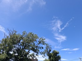 20260914_121921.jpg