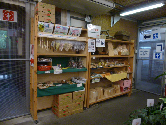 P1000072.jpg
