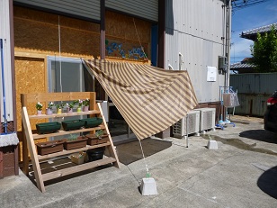 P1000595.jpg
