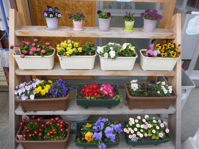 P1020190.jpg