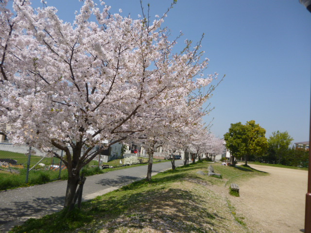 P1020441.jpg