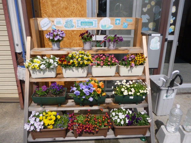 P1020537.jpg