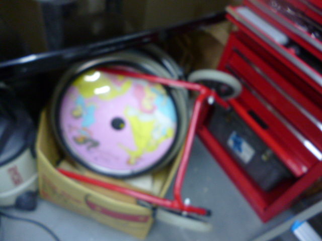 P1030347.jpg
