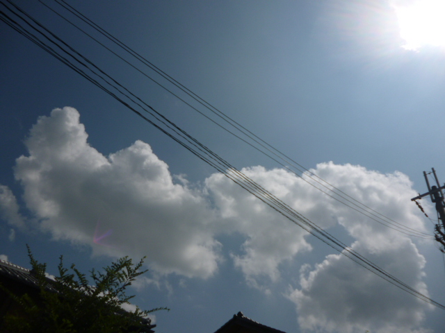 P1030542.jpg
