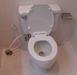 toilet2.jpg