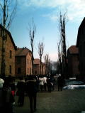 DCF_00551.jpg