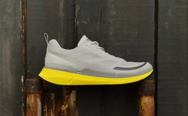 ECCO BIOM 2.2