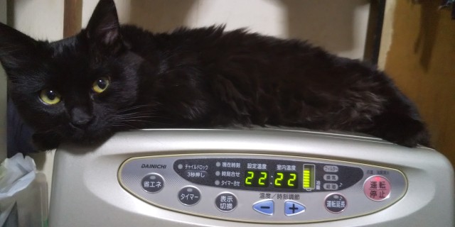 DSC_1164.jpg
