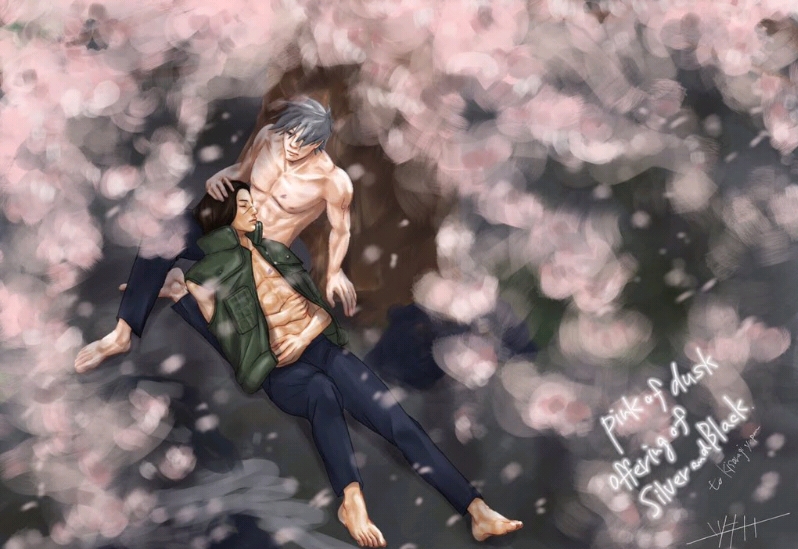 宵闇に桜、銀黒の贄