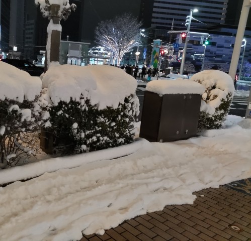 雪