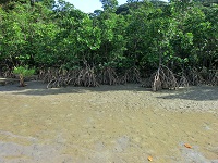 CIMG0812.jpg