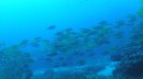 DSC038572.jpg