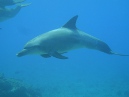 DSC040051.jpg