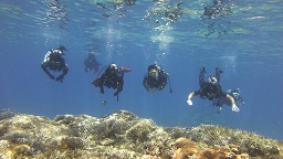 P1000465.jpg
