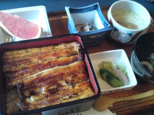 夏はこれだなぁ...