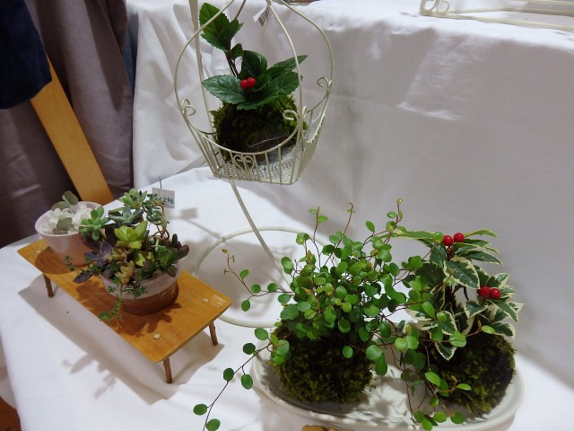 P1297010.jpg