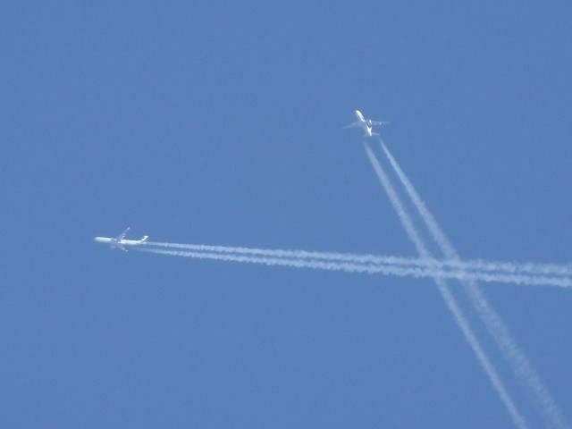 P2210006.jpg