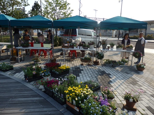 P4291352.jpg