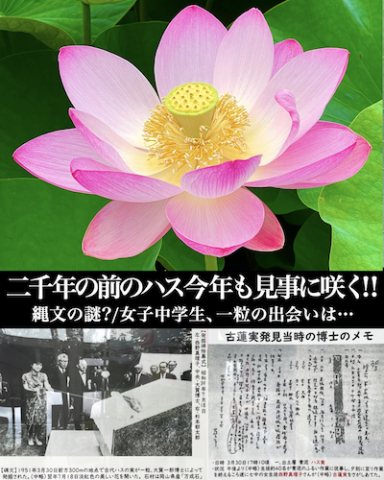 20250703-165728.png