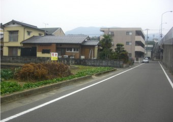 20120210-094123.jpg