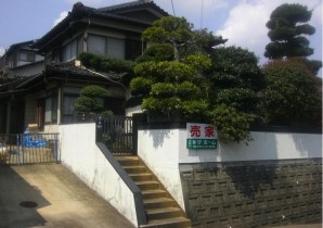 20120709-151509.jpg