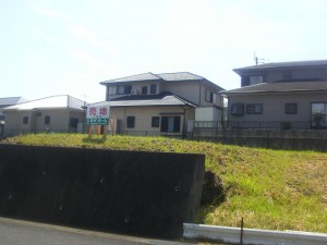 20120822-104021.jpg
