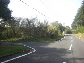 CIMG17460006.jpg