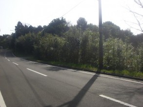 CIMG17500010.jpg
