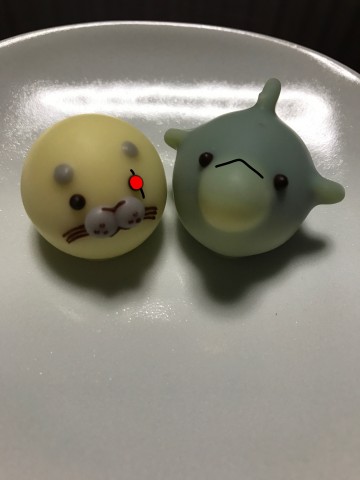 カカイルチョコ