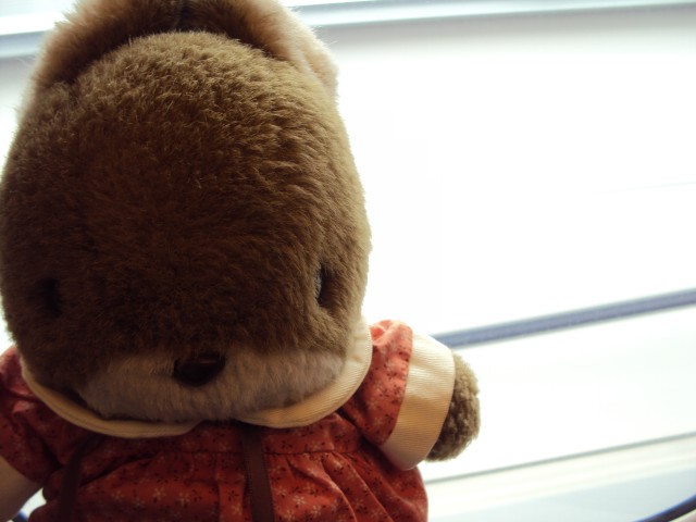 DSC01178.jpg