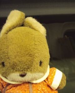 nagasaki202505.jpg