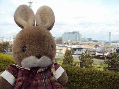usakura202509.jpg